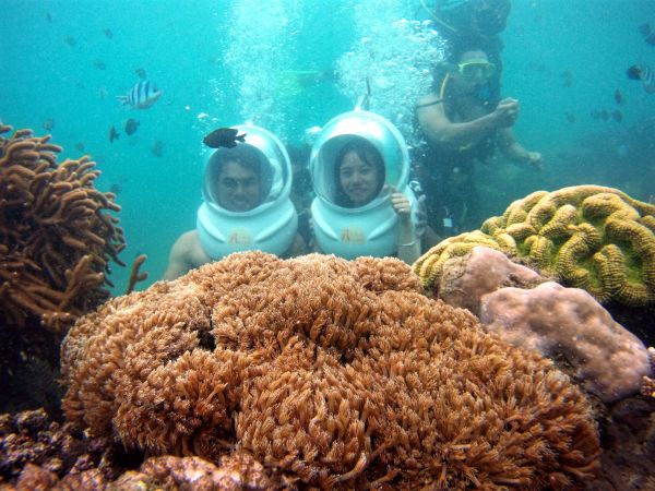 Professional snorkeling speedboat one-day trip to sea