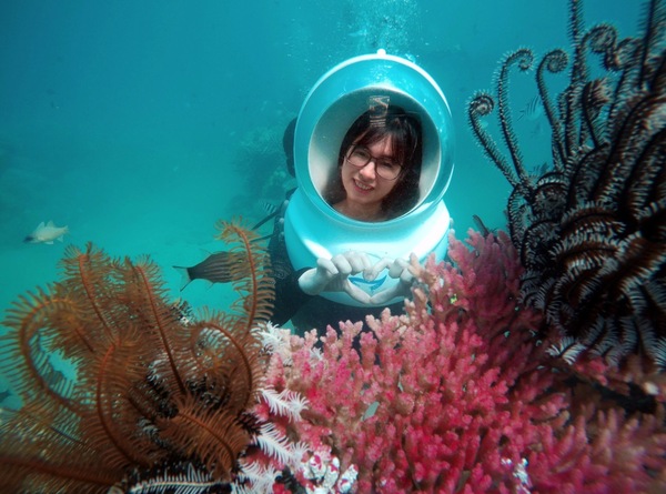 Tour Đi Bộ Dưới Biển Nha Trang