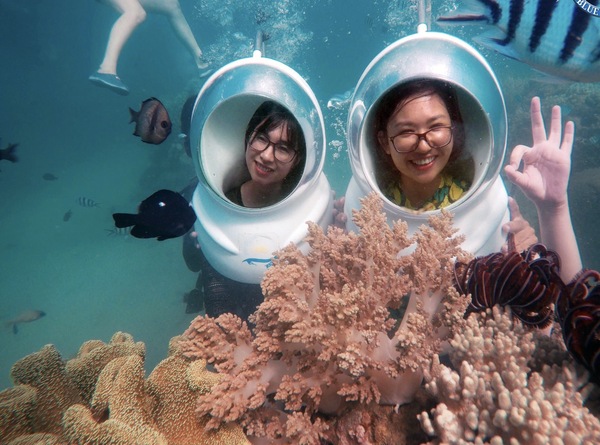 Tour Đi Bộ Dưới Biển Nha Trang