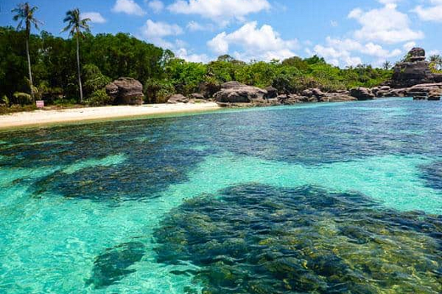 Lặn biển vào ngày nước trong để quan sát rõ sinh vật dưới biển