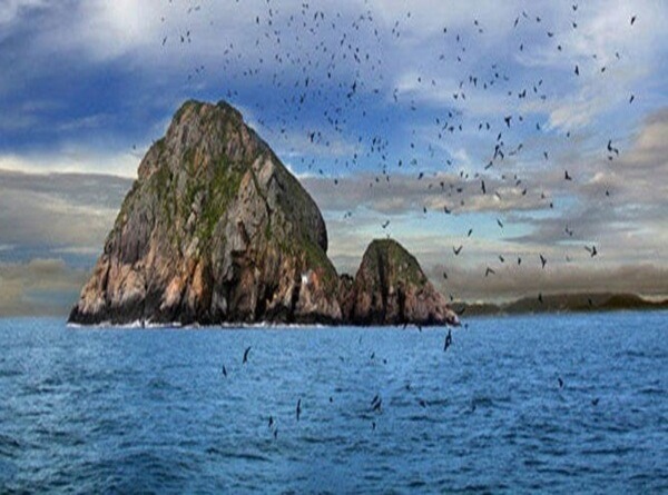 Ở đâu khi du lịch đảo Yến Nha Trang?