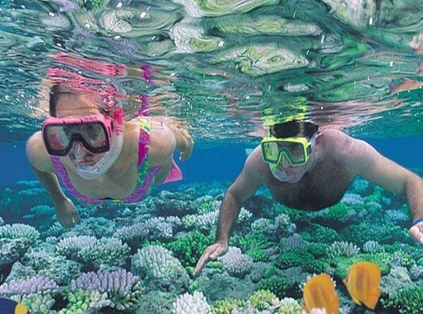 Dịch vụ lặn ngắm biển ở Nha Trang