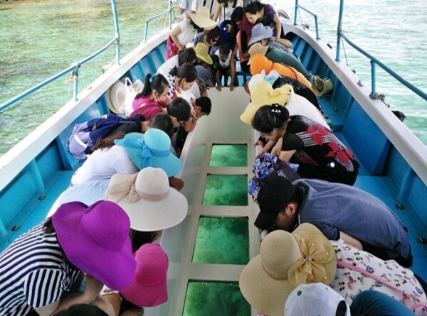 Ngắm san hô qua tàu đáy kính