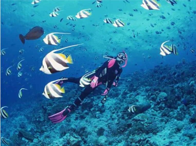 tour lặn biển nha trang giá rẻ của TG Tourist mang đến những trải nghiệm thú vị